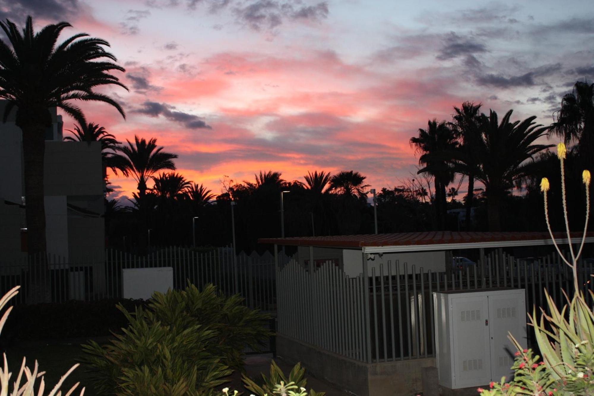 דירות ארונה Primavera Tenerife Sur מראה חיצוני תמונה
